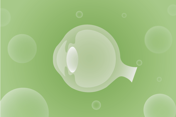 眼科，视光中心，眼科诊所，眼睛相关遗传病、基因病、罕见病的基因解码，基因检测，基因筛查与分子诊断