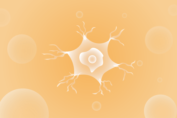 神经科肌肉系统及运动神经系统遗传病、基因病、罕见病的基因解码，基因检测，基因筛查与分子诊断