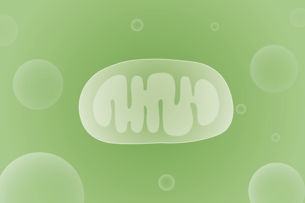 线粒体病、线粒体疾病遗传病、基因病、罕见病基因解码，基因检测，基因筛查与分子诊断