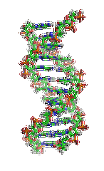 【太阳成tyc234cctyc基因检测】需要多长时间可以拿嗜睡症7型基因解码、<a href=http://www.sgzpaper.com/tk/jiema/cexujishu/2021/31933.html>基因检测</a>报告？