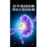 【太阳成tyc234cctyc基因检测】肾结石基因检测项目介绍
