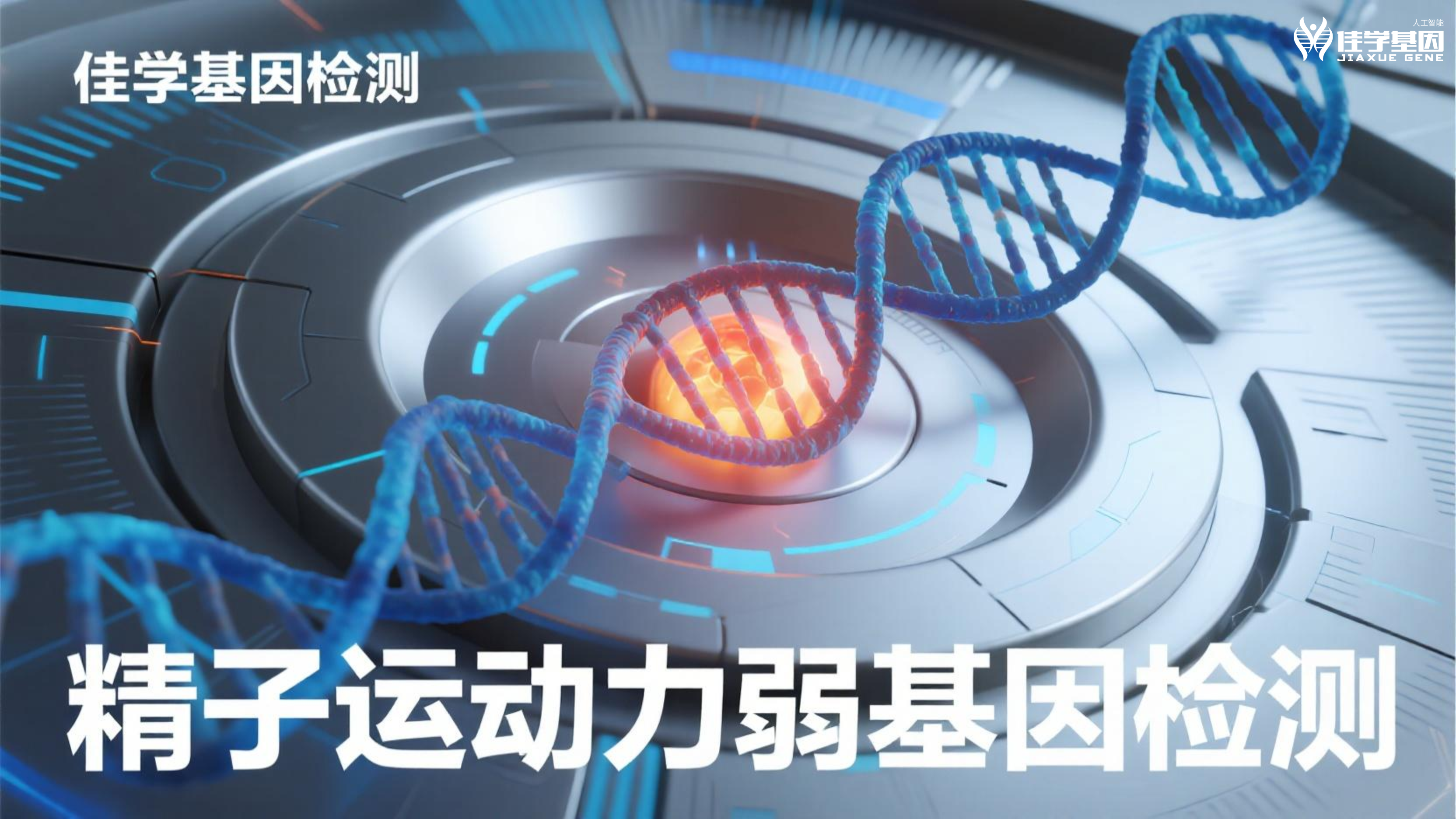 【太阳成tyc234cctyc基因检测】男性<font color='red'>脱发</font>和生育力：基因告诉了我们什么？