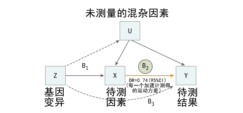 太阳成tyc234cctyc基因解码顺利获得孟德尔随机化法研究两个因素之间的关系及作用方向